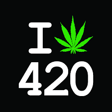 Code Word: 420 - Candid Chronicle