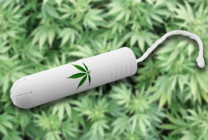 Cannabis Tampons Candid Chronicle Us And International Cannabis News From San Diego California