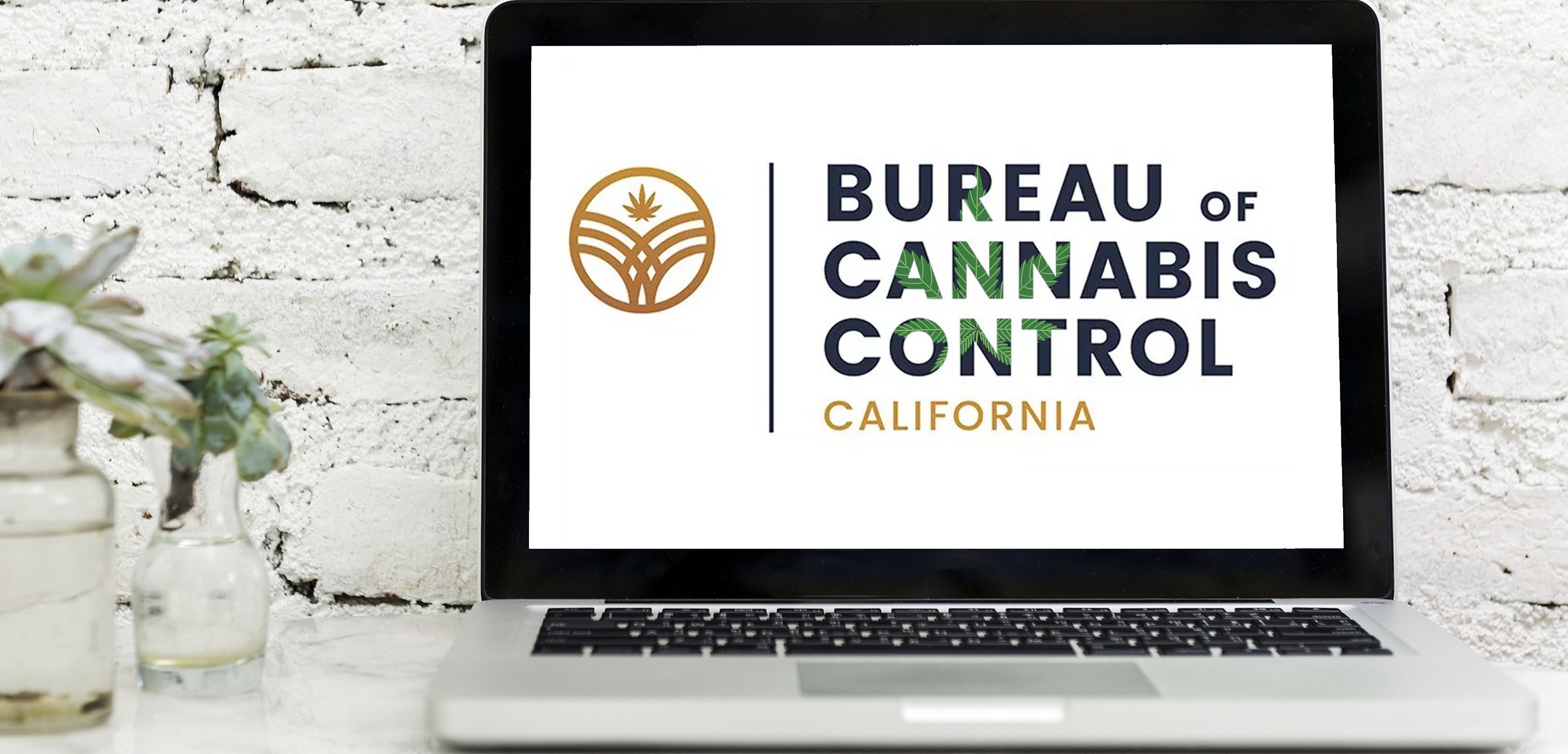 Bureau Of Cannabis Control Begins Accepting Equity Grant Applications ...