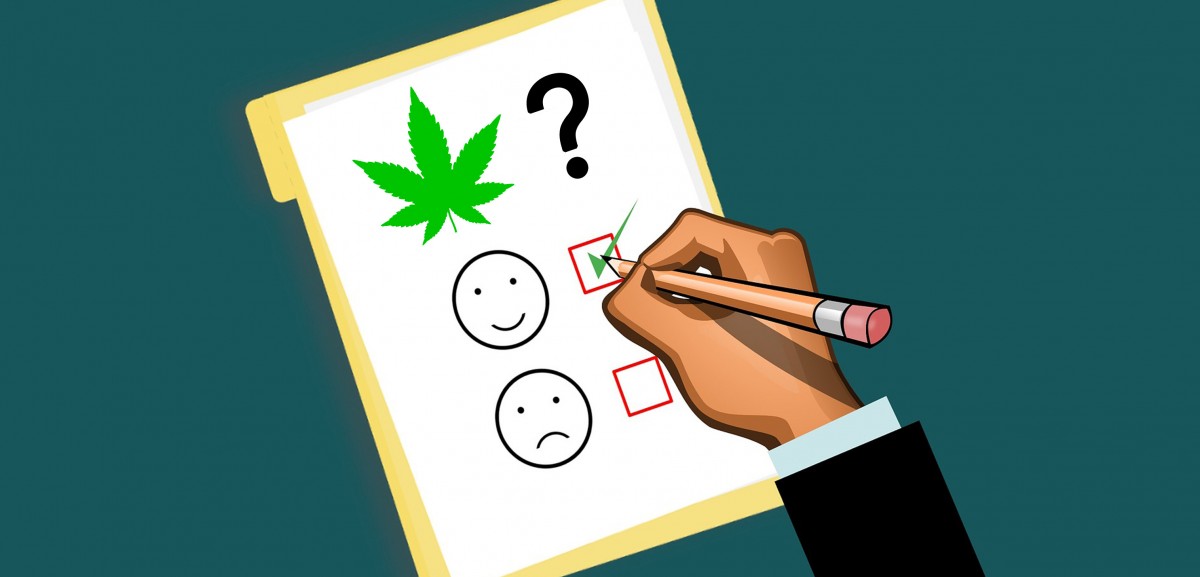 Gallup Poll Indicates Record Support For Cannabis Legalization In ...